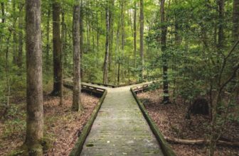 Triff eine Entscheidung